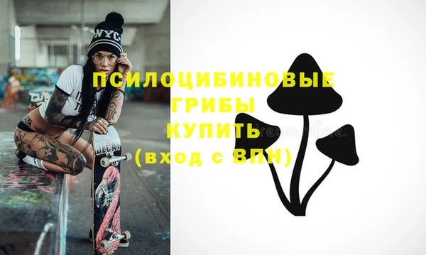 spice Алексеевка