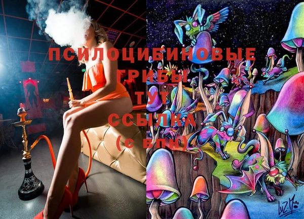 дурь Абинск