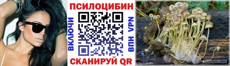 магазин продажи наркотиков  Заозёрный  Псилоцибиновые грибы Psilocybine cubensis 